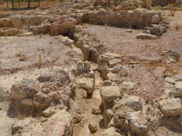 Yacimiento de Villaricos 2014